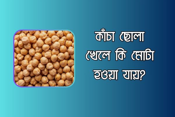 কাঁচা ছোলা খেলে কি মোটা হওয়া যায়