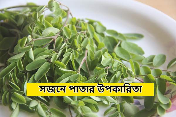 সজনে পাতার উপকারিতা – সেরা ২০টি