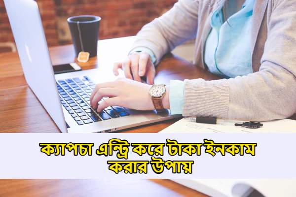 ক্যাপচা এন্ট্রি করে ইনকাম
