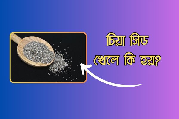 চিয়া সিড খেলে কি হয় – উপকারিতা ও অপকারিতা
